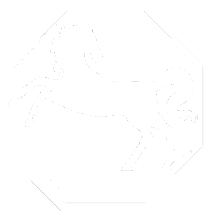 horse-chinese-zodiac-profile